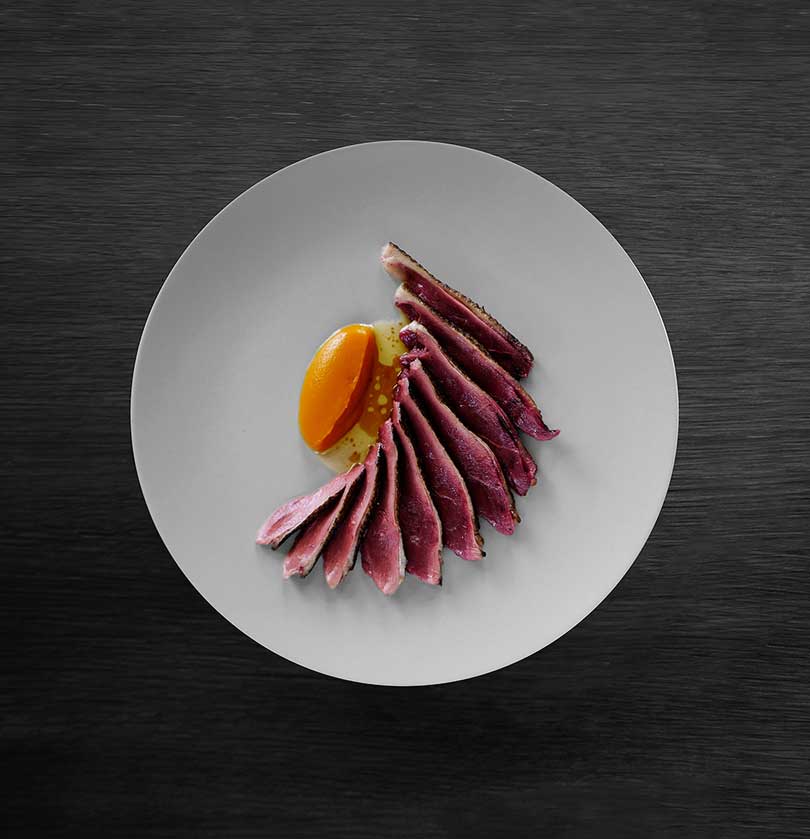 Art guidance，painting in water colours，Photography，Recipes，