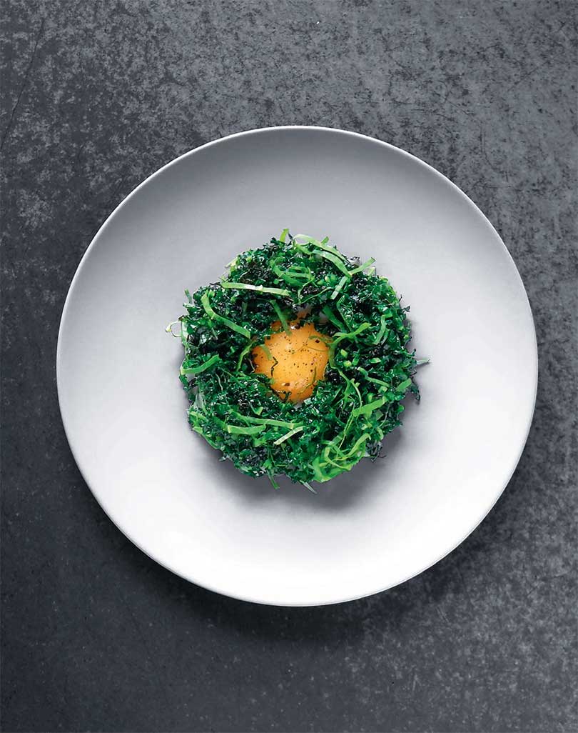 Art guidance，painting in water colours，Photography，Recipes，