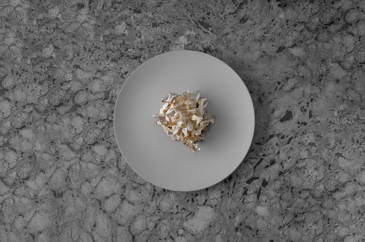 Art guidance，painting in water colours，Photography，Recipes，