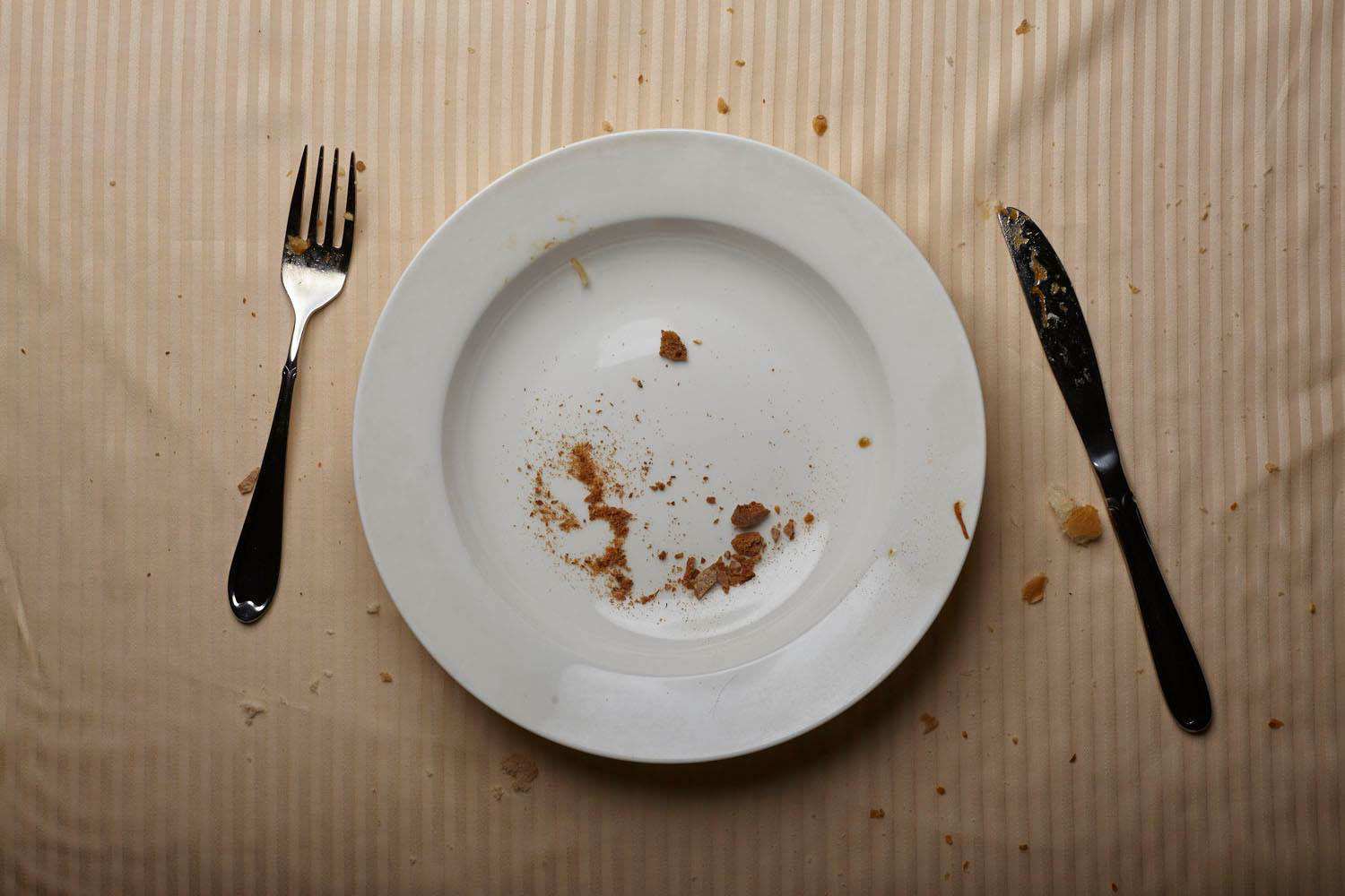 Hunger plate，advertisement，Art guidance，Illustration，