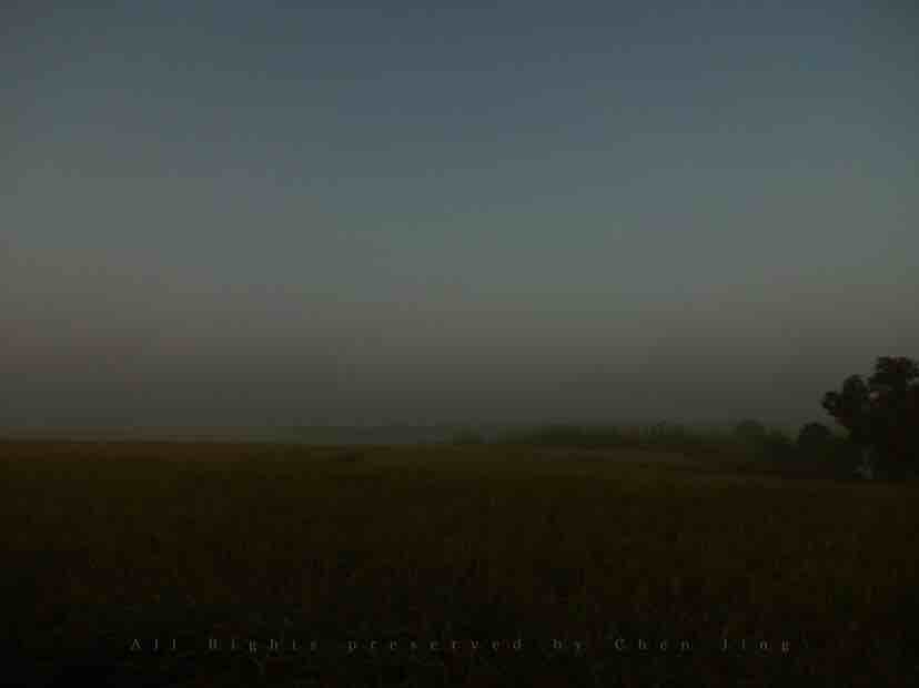 morning，summer，green，scenery，natural，