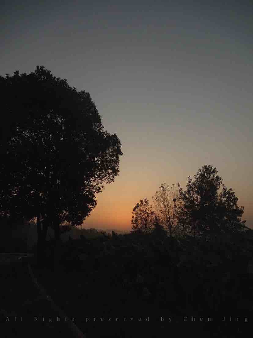 morning，summer，green，scenery，natural，