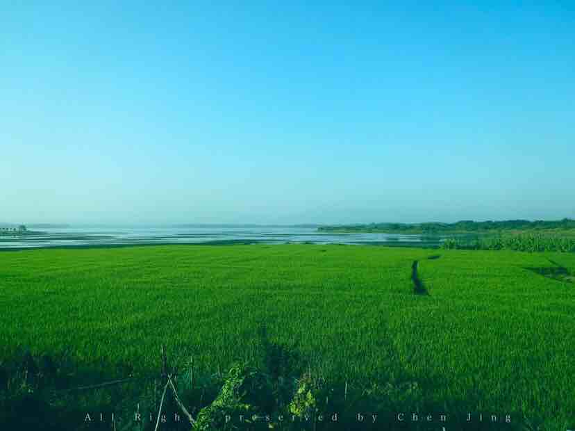 morning，summer，green，scenery，natural，