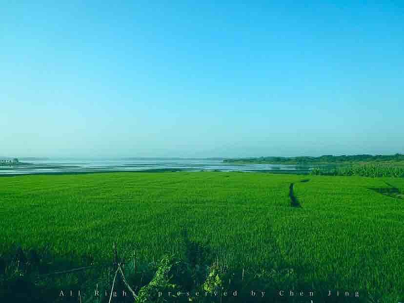 早晨，夏天，绿色，风景，自然，