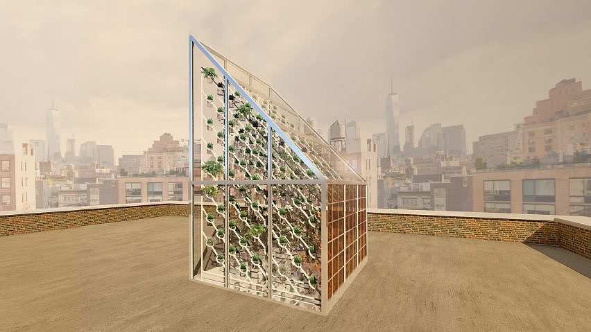 greenhouse，roof，environment protection，food，future，Food shortage，