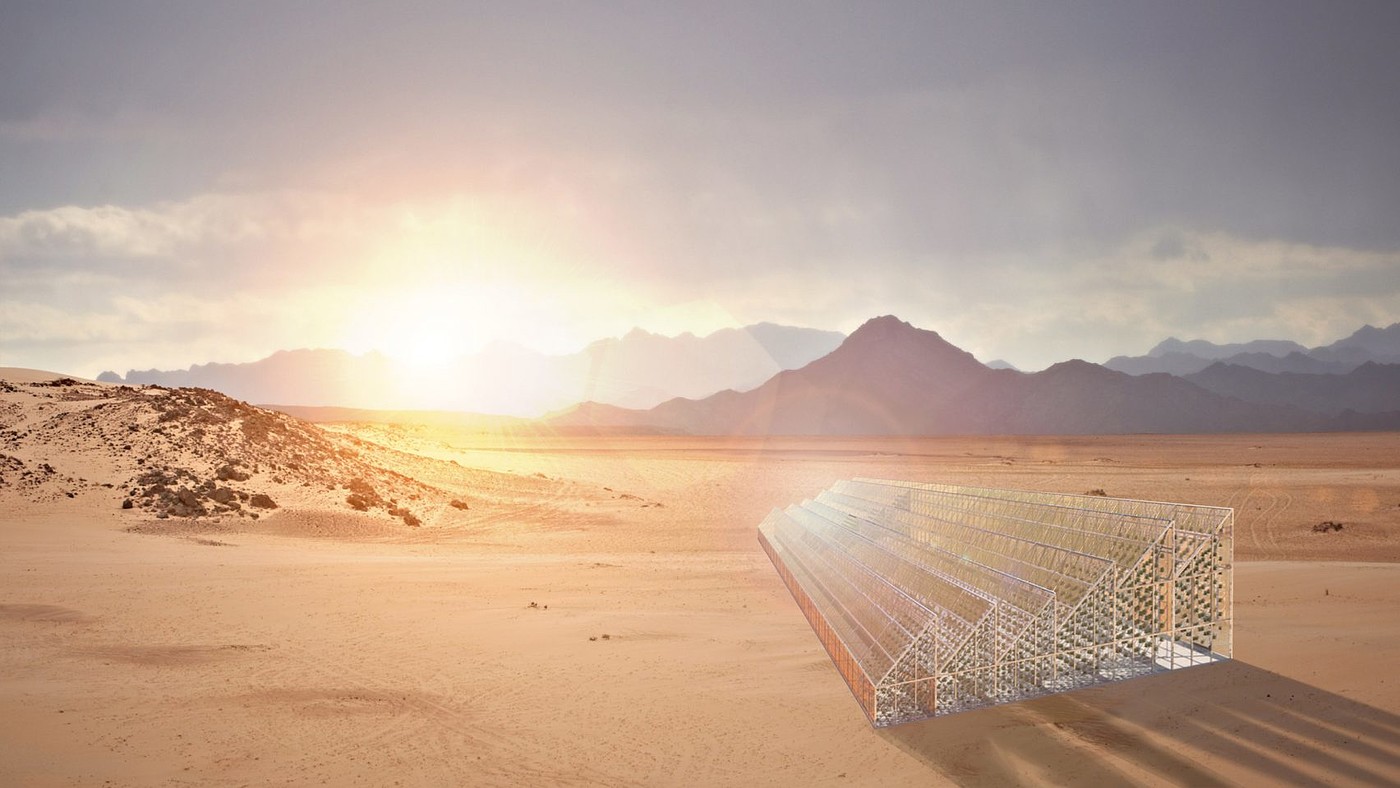 greenhouse，roof，environment protection，food，future，Food shortage，