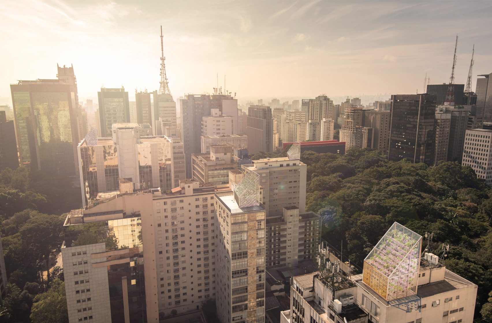 greenhouse，roof，environment protection，food，future，Food shortage，