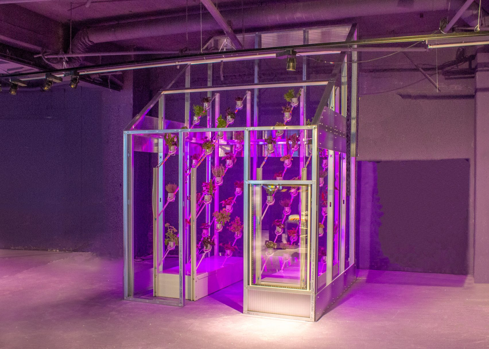 greenhouse，roof，environment protection，food，future，Food shortage，