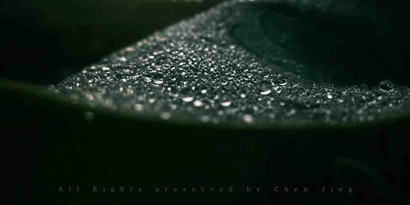 Lotus leaf，Botany，natural，Dew，