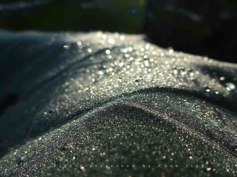 Lotus leaf，Botany，natural，Dew，