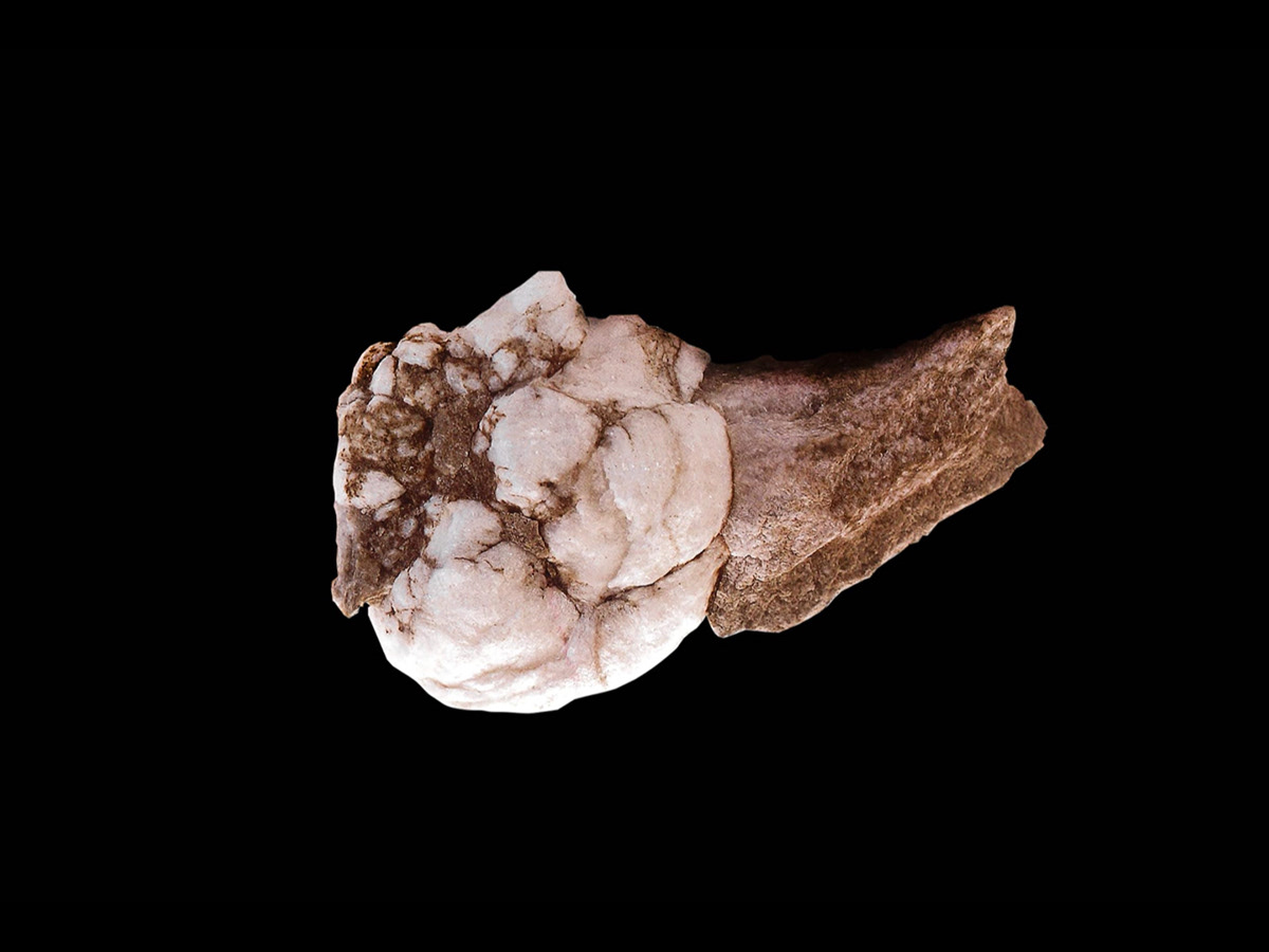 product design，Women's Watch，Wristwatch，MYKU，