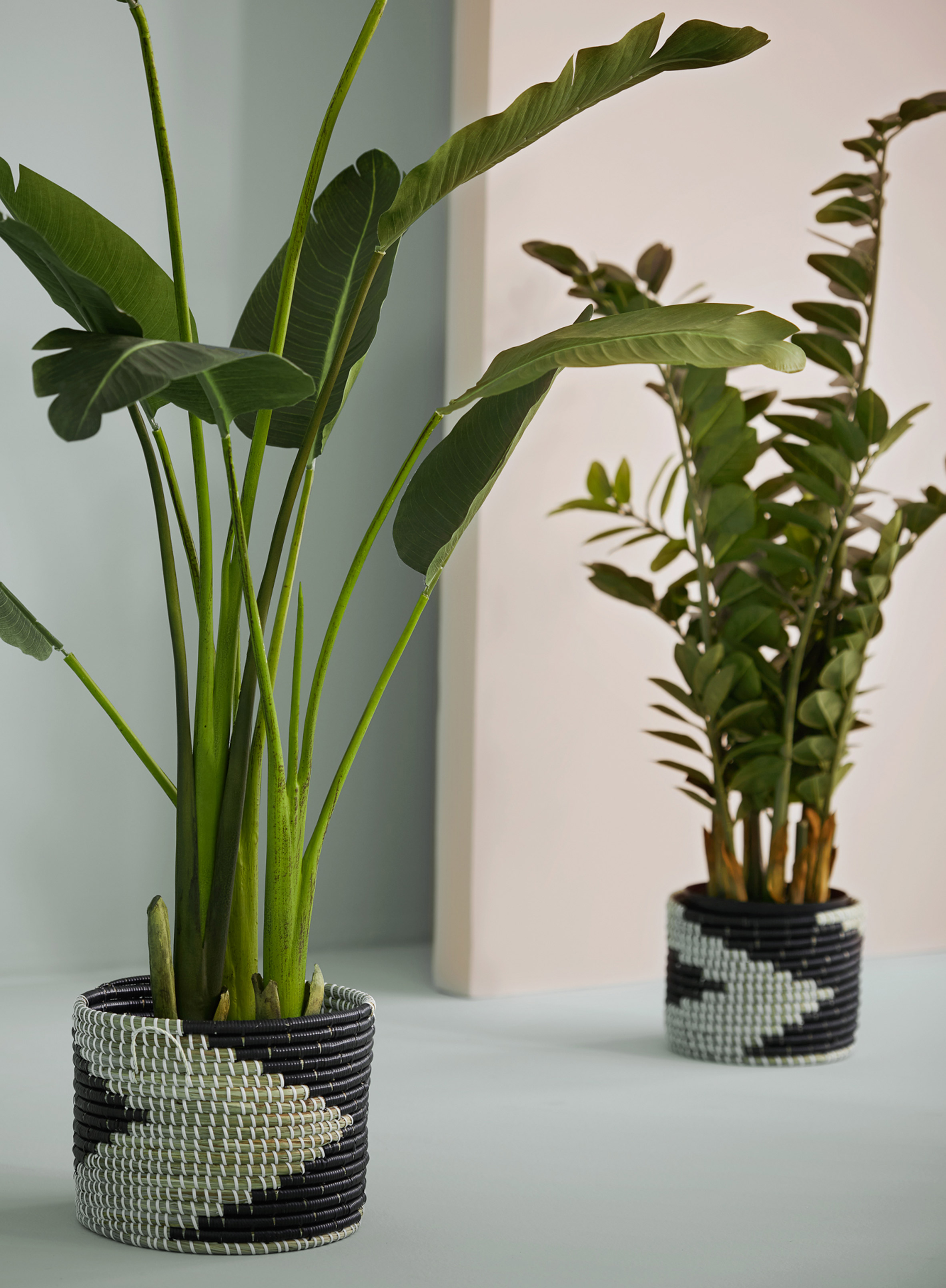 Mobilia，Alykhan Brother，indoor，Design，furniture，Home Furnishing，