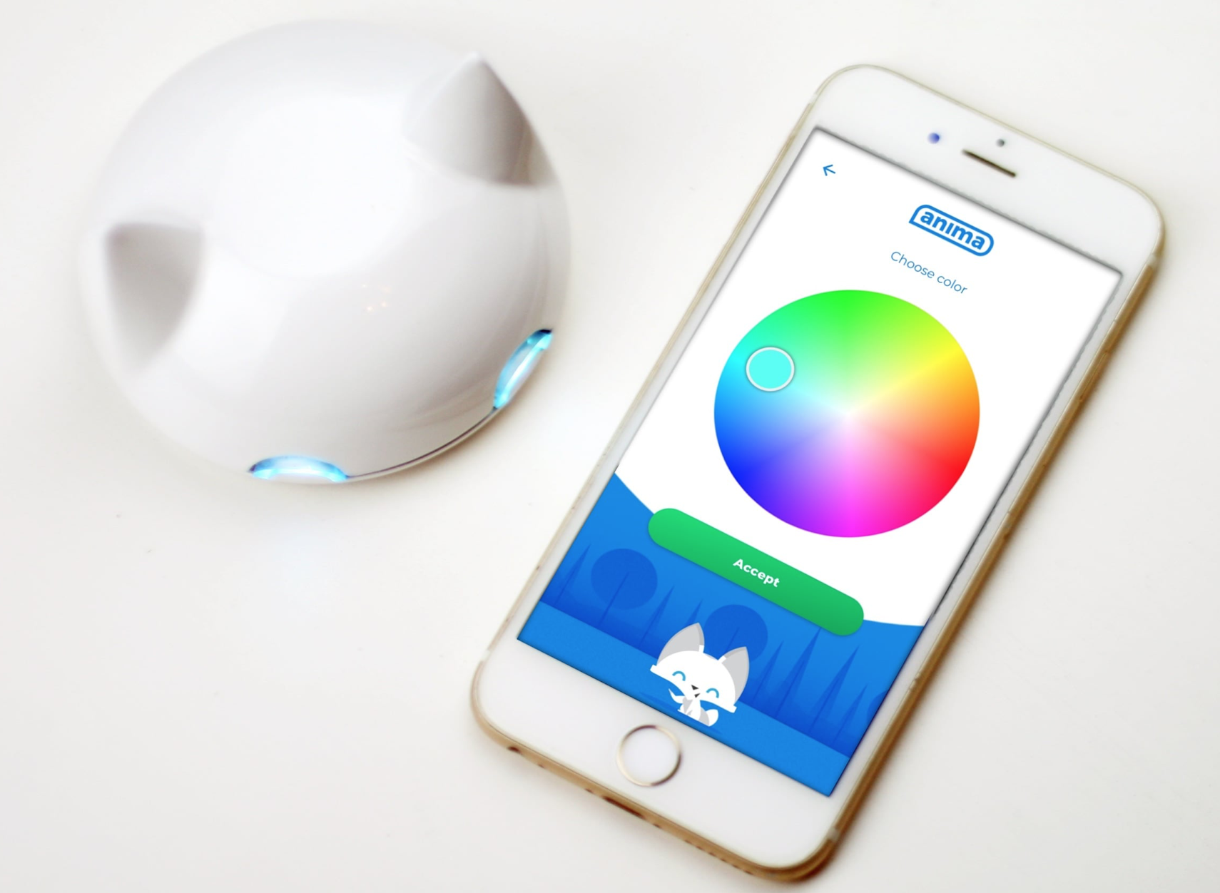 remind，location，intelligence，Anima，