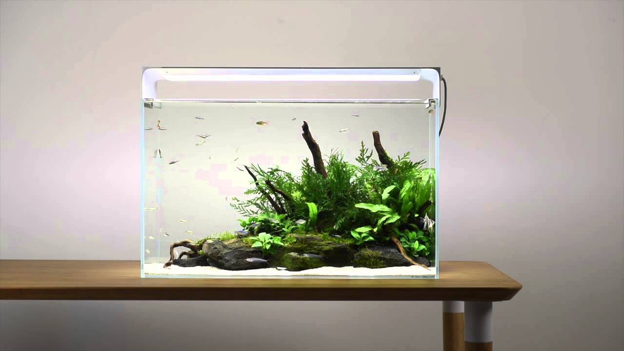 16 红点奖 Flat One 鱼缸照明系统 普象网