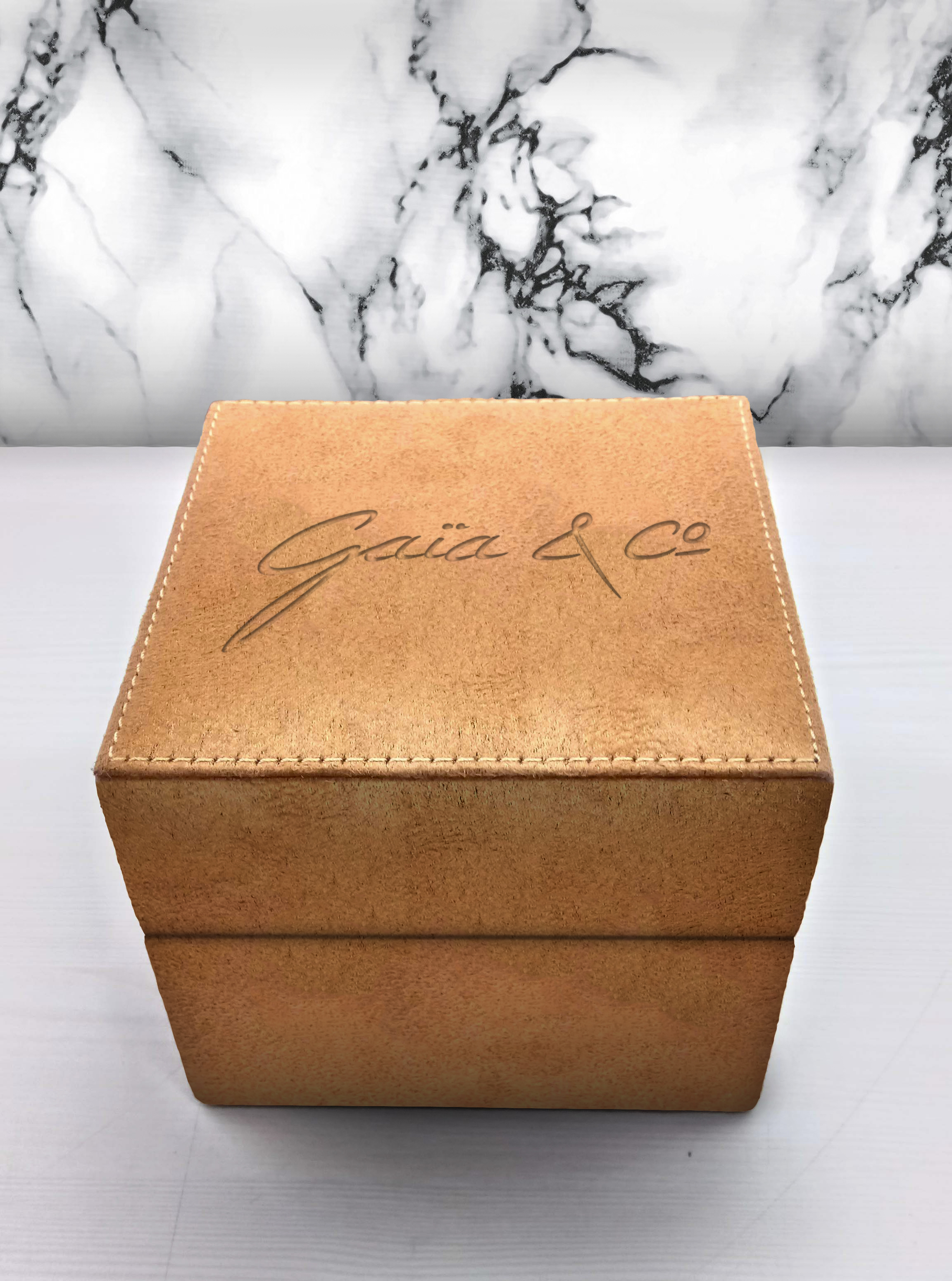 Gaia company，manuscript，clock dial，Wrist watch，