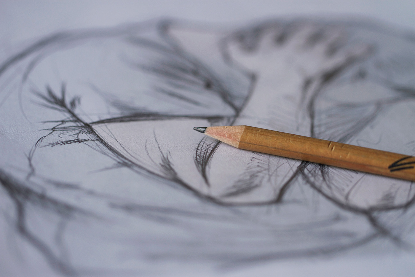 Visual recognition，Narcotics，Drug，advertisement，Design，turkey，