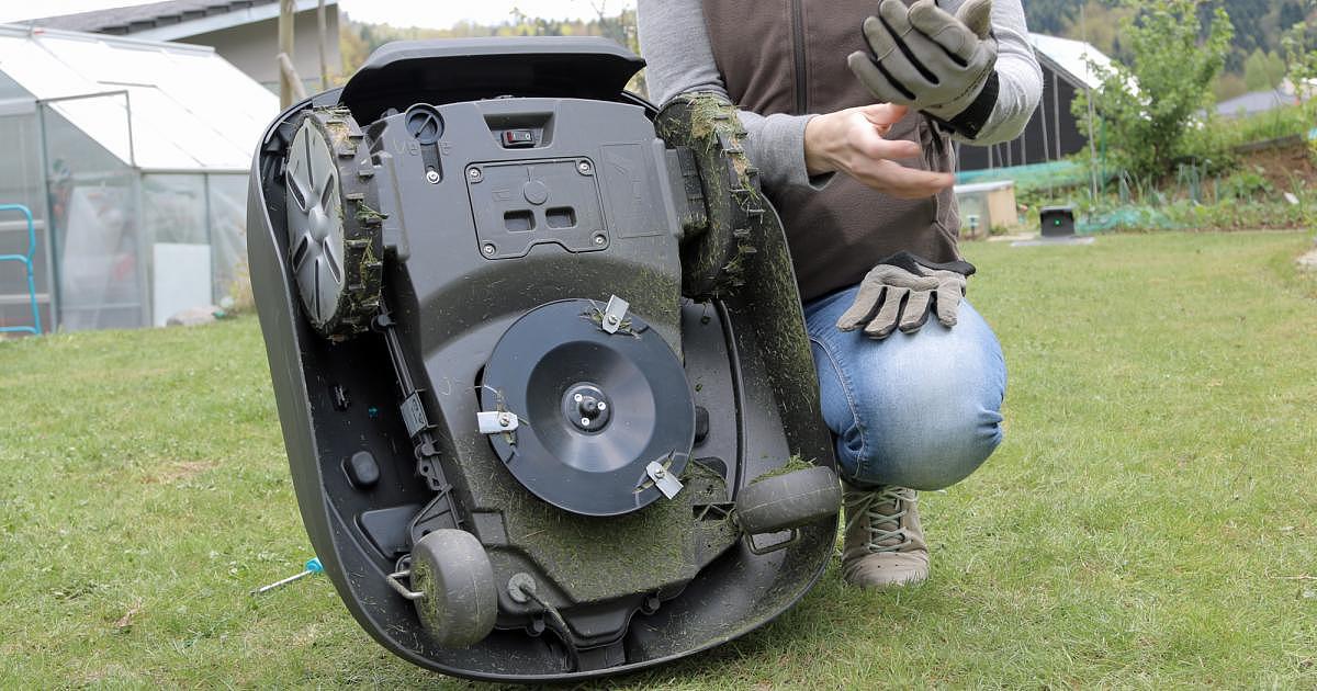 intelligence，lawn mower，robot，Smart Sileno，2016 red dot award，