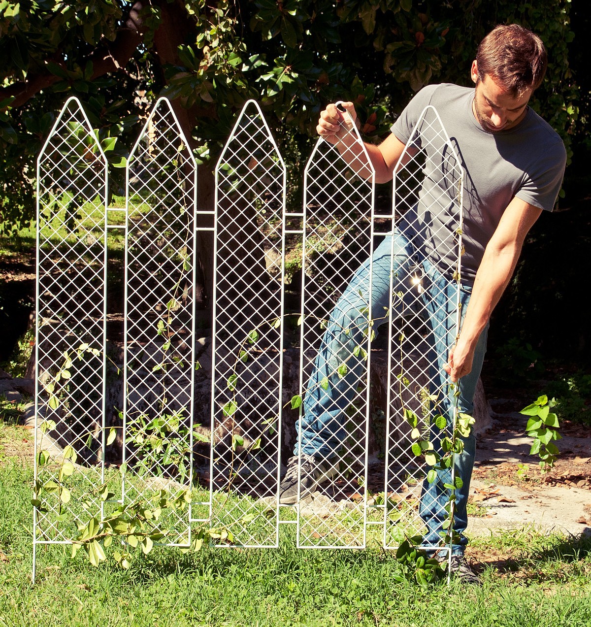 Metal，Iron art，bamboo fence，industrial design，