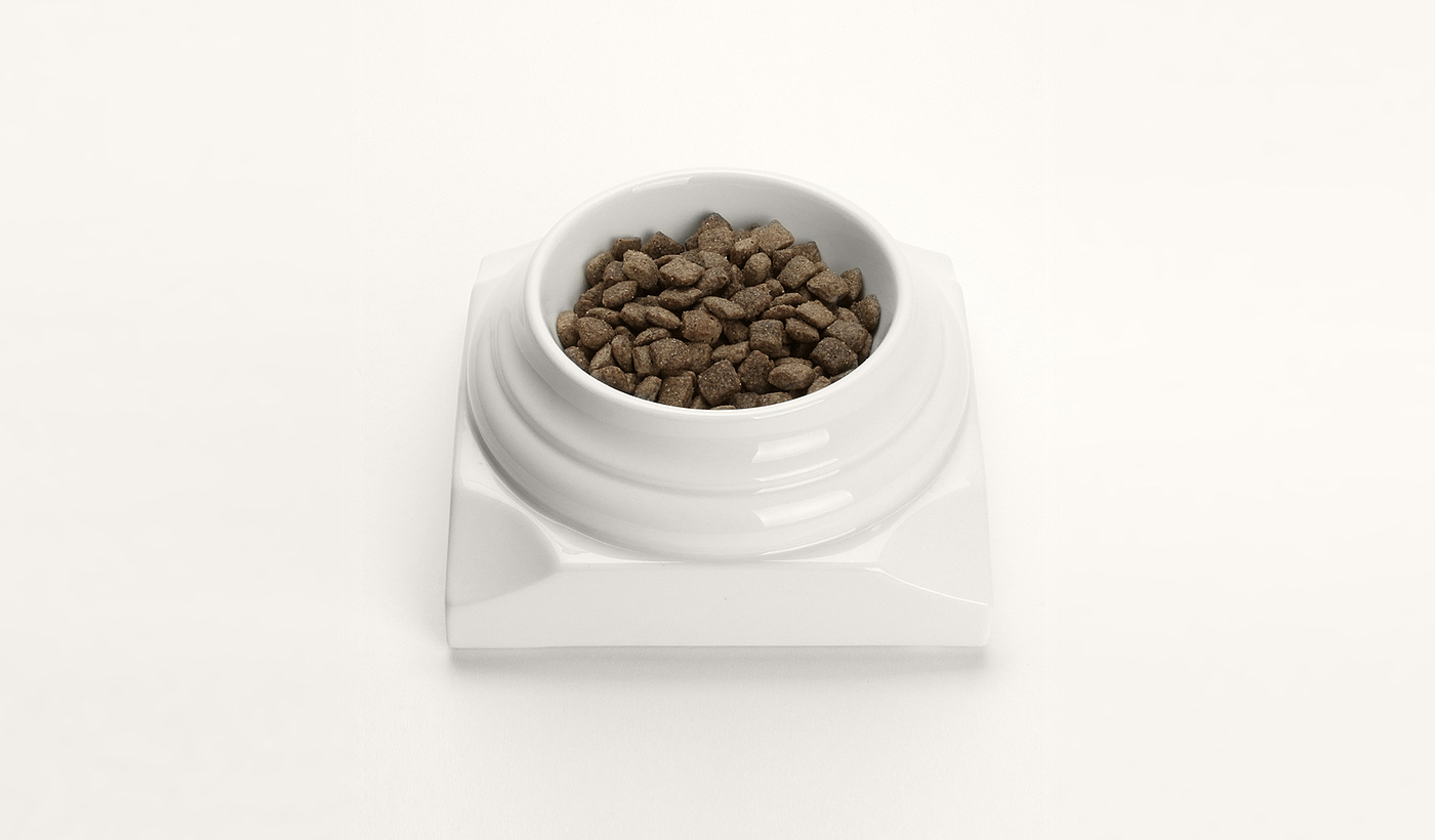 serialization，product design，Pet bowl，