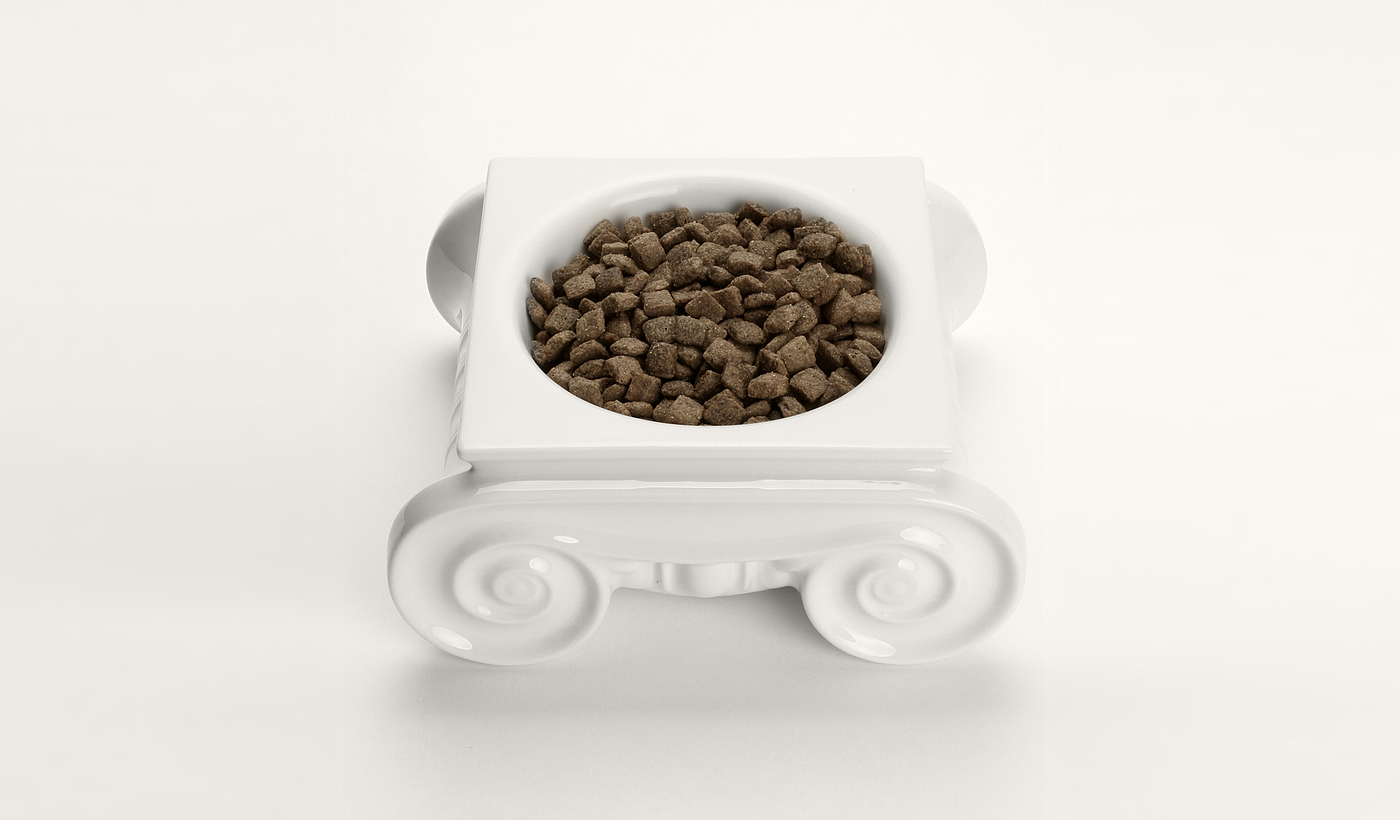 serialization，product design，Pet bowl，