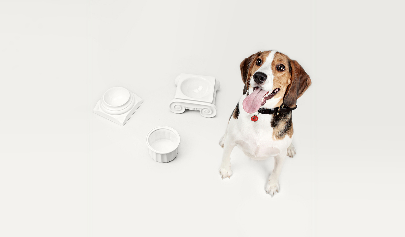 serialization，product design，Pet bowl，