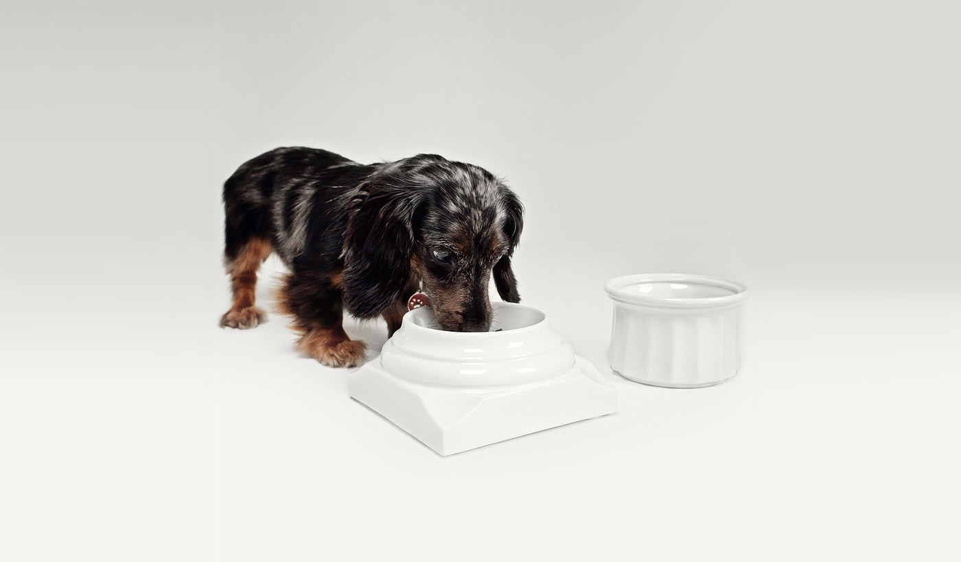 serialization，product design，Pet bowl，