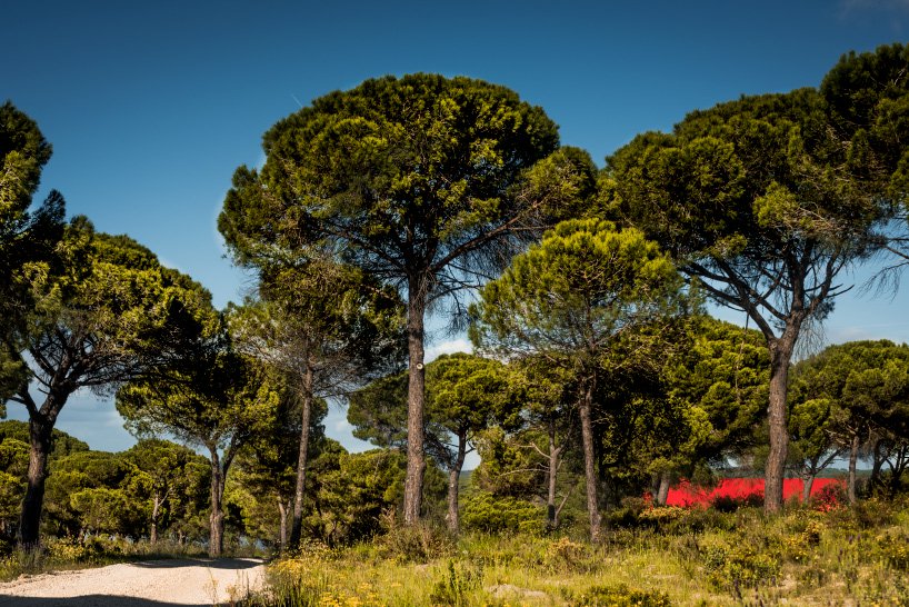 building design，Bright red，Portugal，