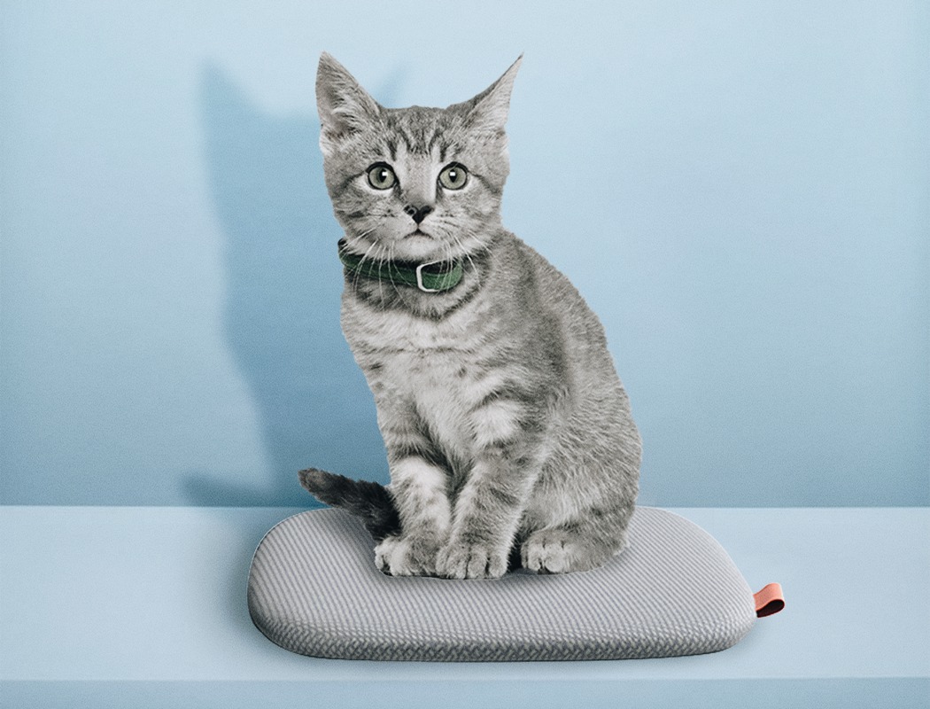 originality，Pets，Cat climbing rack，industrial design，