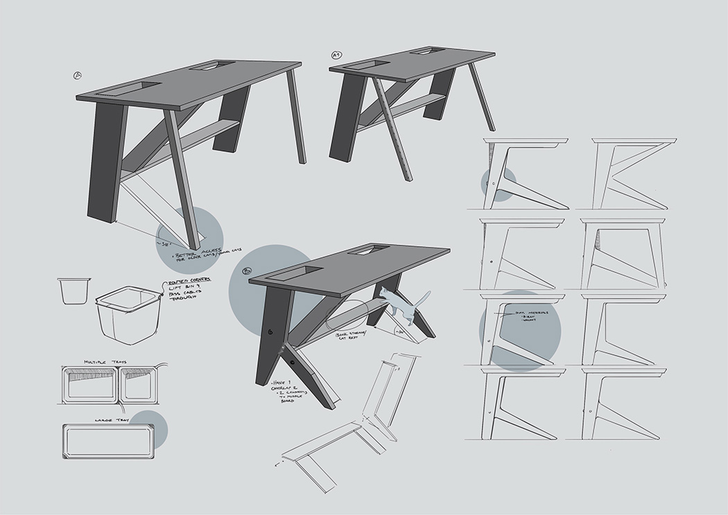 cat，Table，study，Kitty，