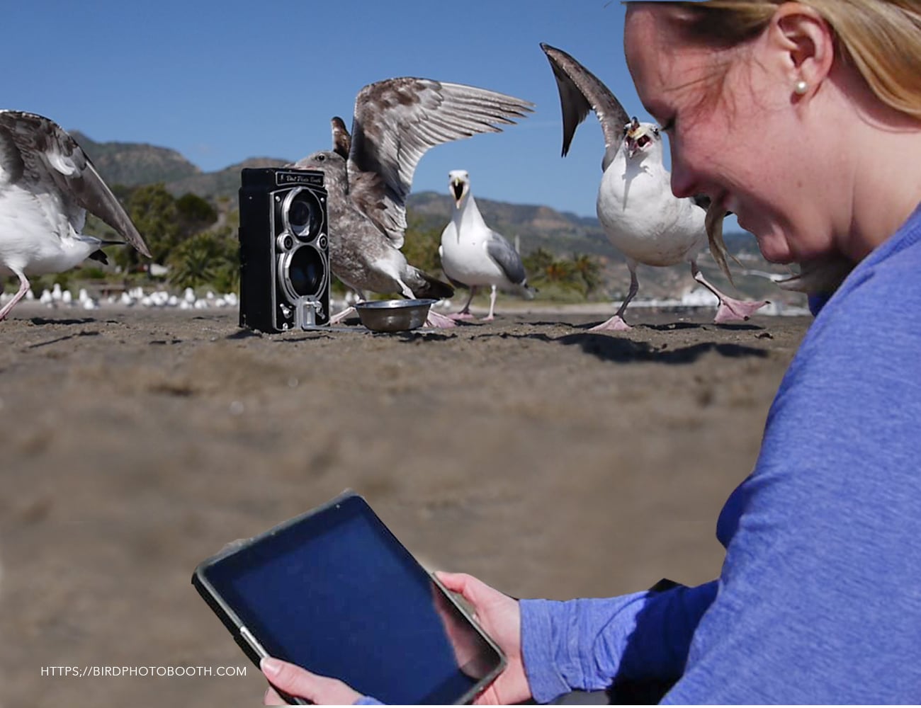 originality，product design，camera，bird feeder ，