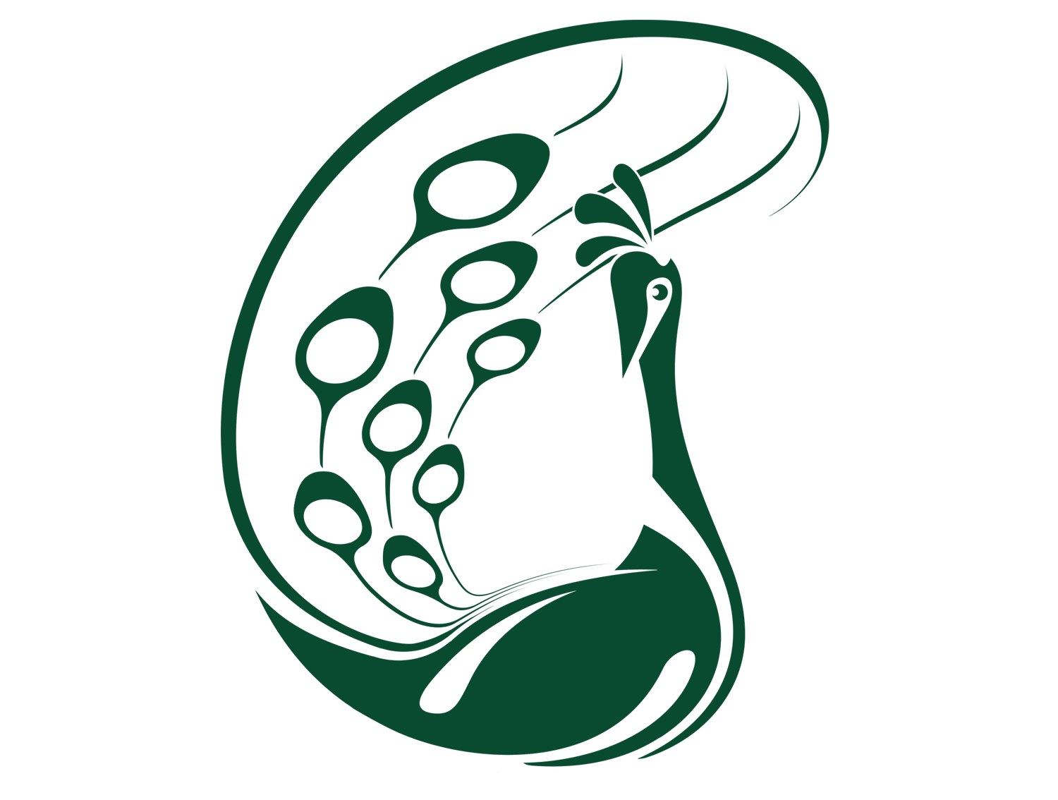 Custom design，Rolls-Royce Phantom ，Indian flag，