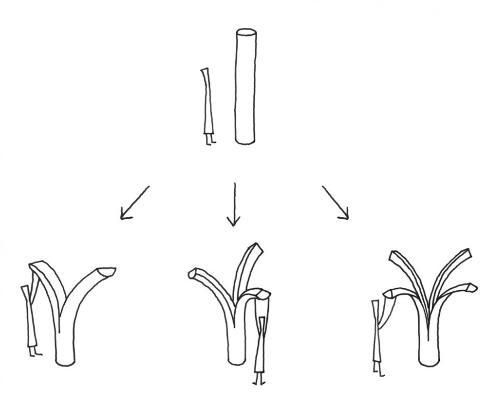 Japan，furniture，natural，woodiness，