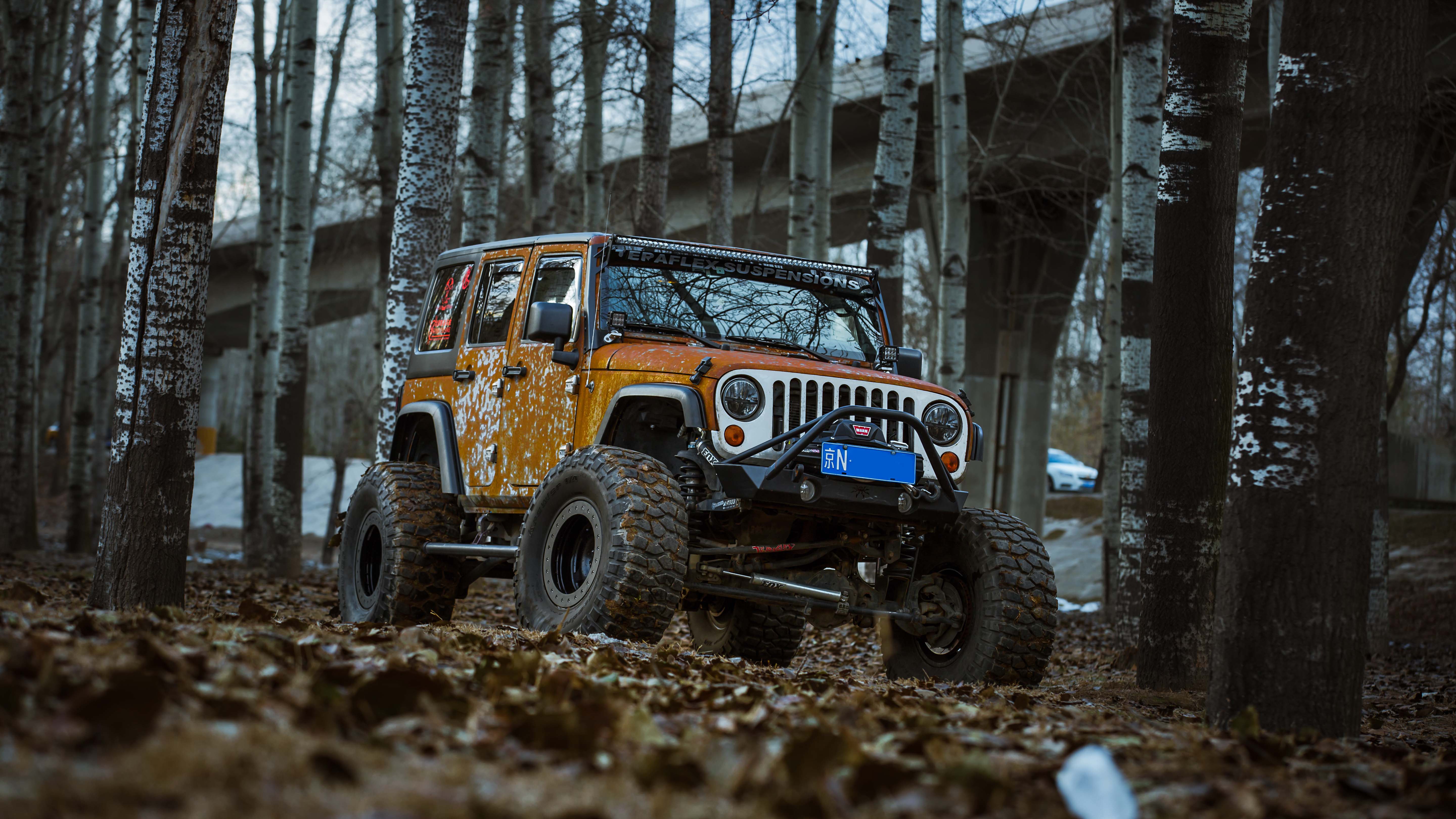 Automotive derivatives design，Automobile design，Appearance design，Interior design，