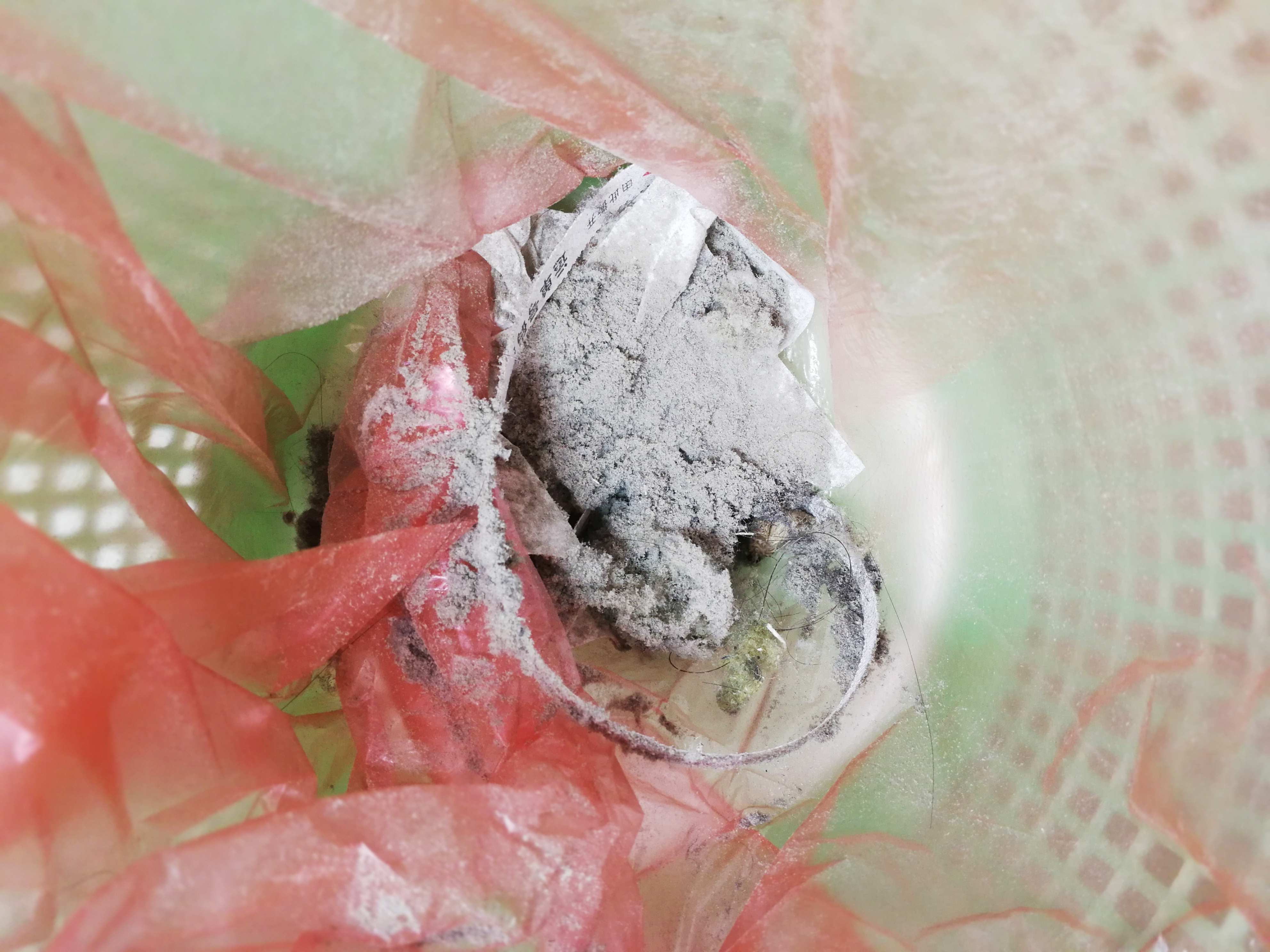 Vacuum cleaner，Evaluation，small home appliances，