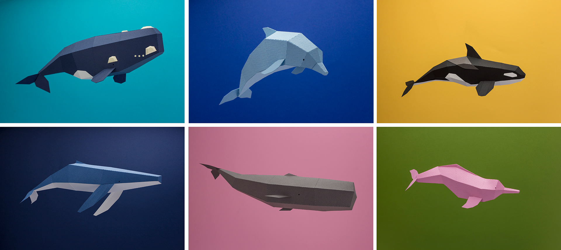 Series design，paper，Art design，