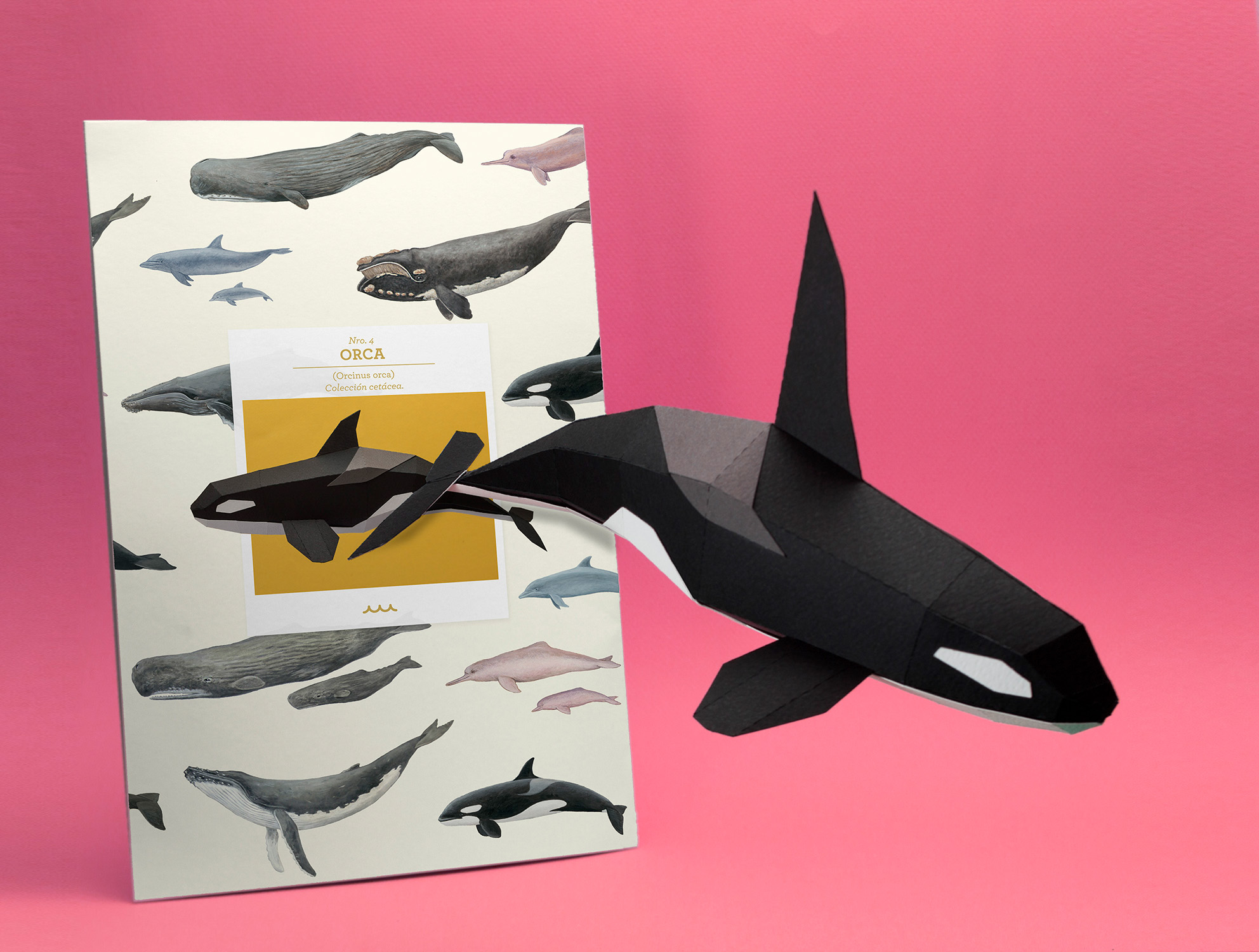 Series design，paper，Art design，