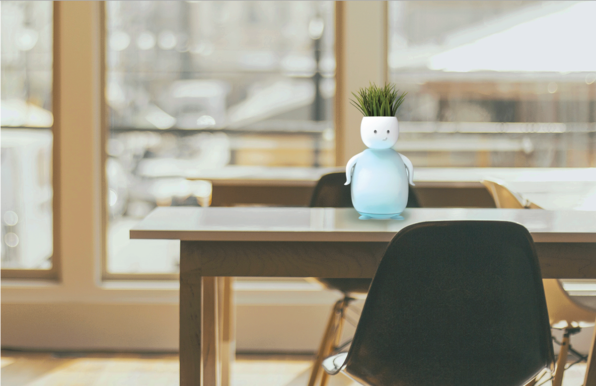 bonsai，LED lamps，product design，industrial design，