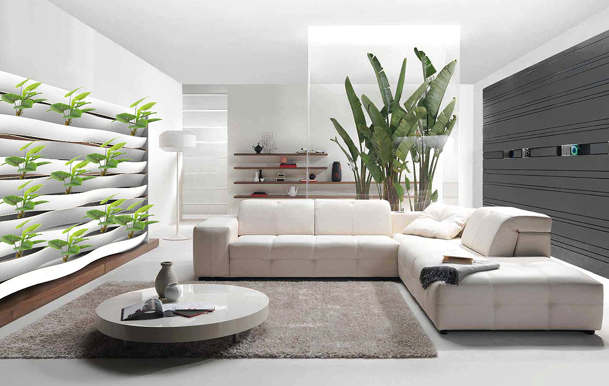 flow，Home Furnishing，Hydroponic culture，Botany，