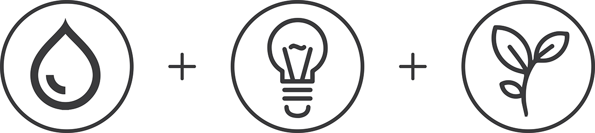 flow，Home Furnishing，Hydroponic culture，Botany，