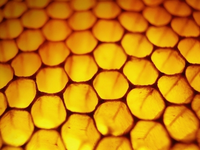 flow，Home Furnishing，Hydroponic culture，Botany，