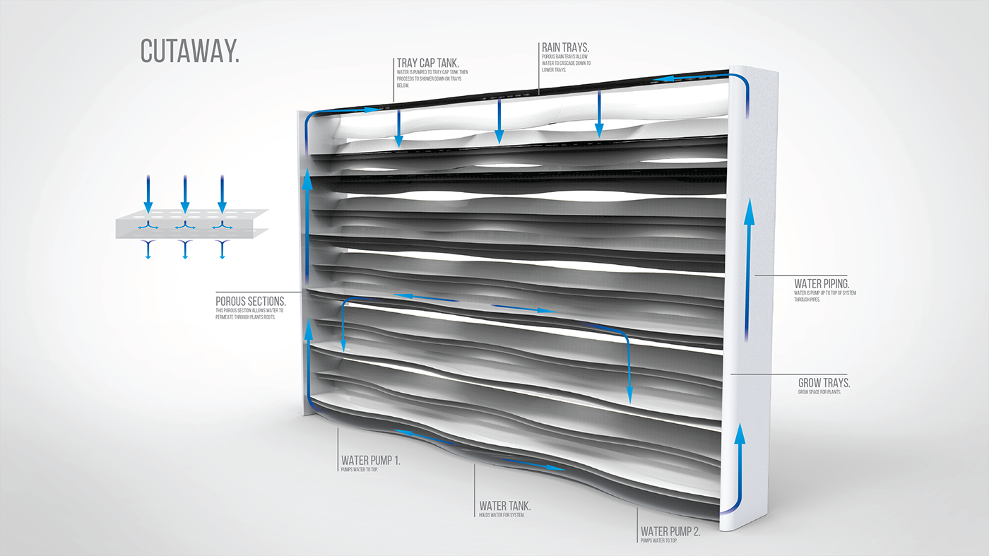 flow，Home Furnishing，Hydroponic culture，Botany，