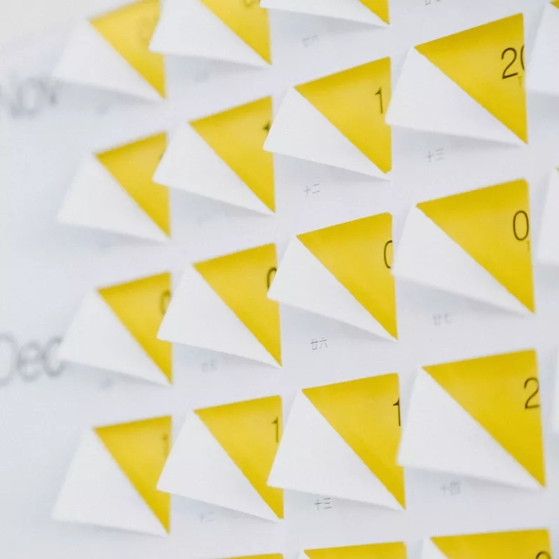 calendar，two thousand and nineteen，Geographic magazine，Stewed cat oamul，Graphic Artist Designer，Mini，