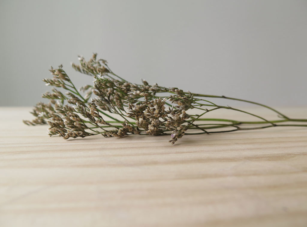 Floral apparatus，Botany，Home Furnishing，Utensils，chair，