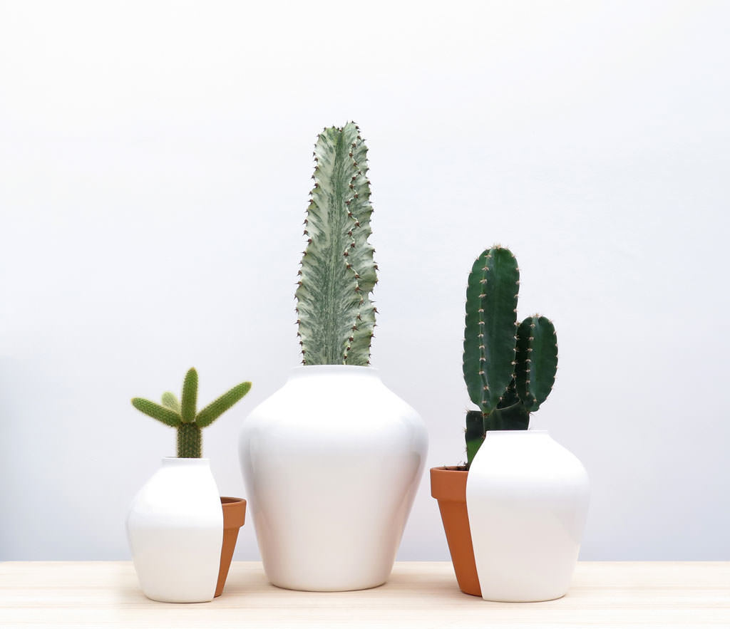 Floral apparatus，Botany，Home Furnishing，Utensils，chair，