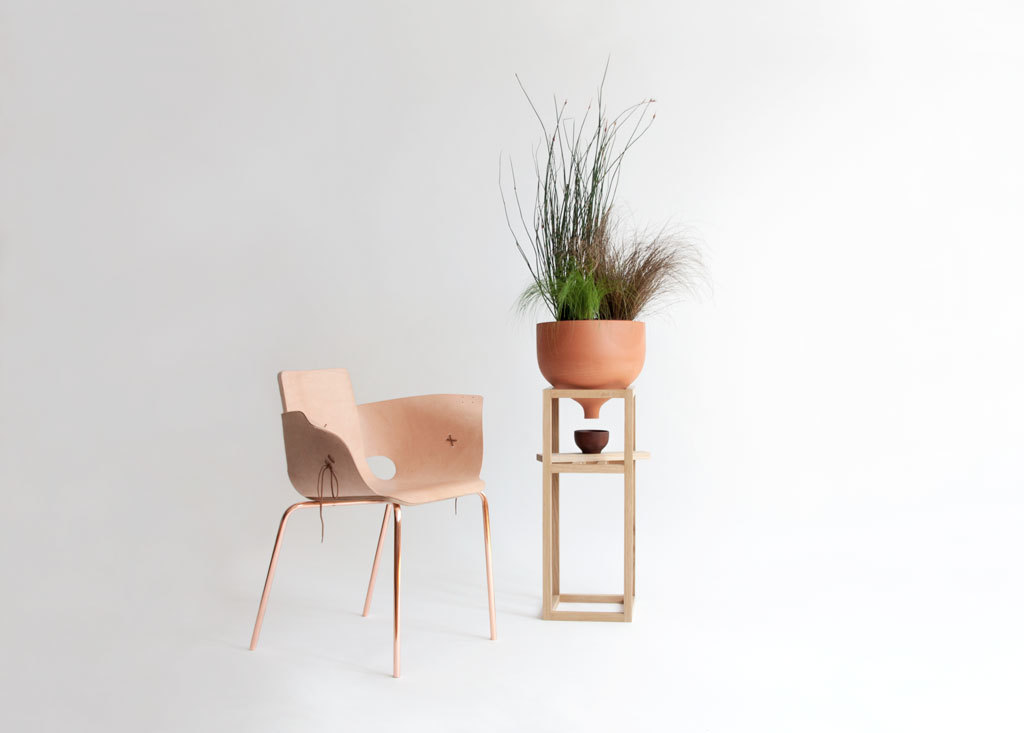 Floral apparatus，Botany，Home Furnishing，Utensils，chair，