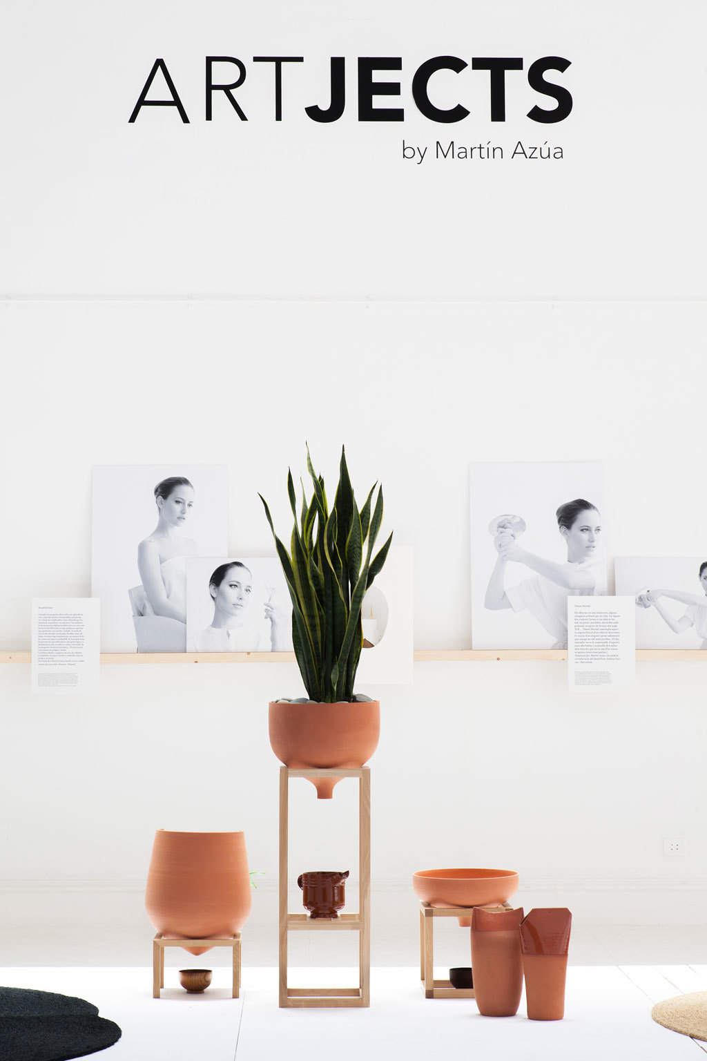 Floral apparatus，Botany，Home Furnishing，Utensils，chair，