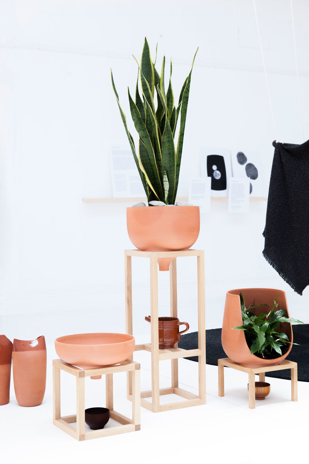 Floral apparatus，Botany，Home Furnishing，Utensils，chair，