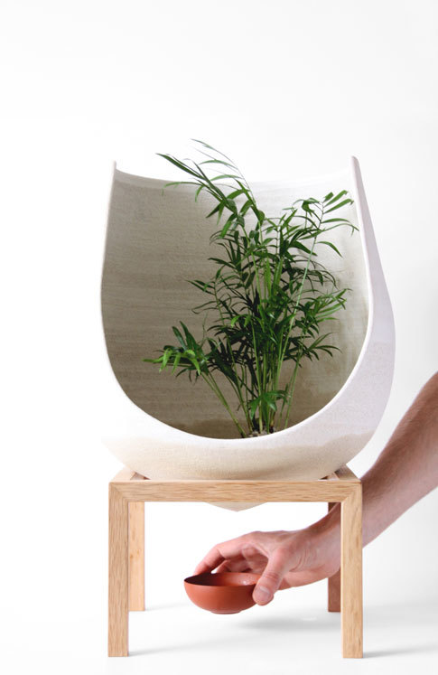 Floral apparatus，Botany，Home Furnishing，Utensils，chair，