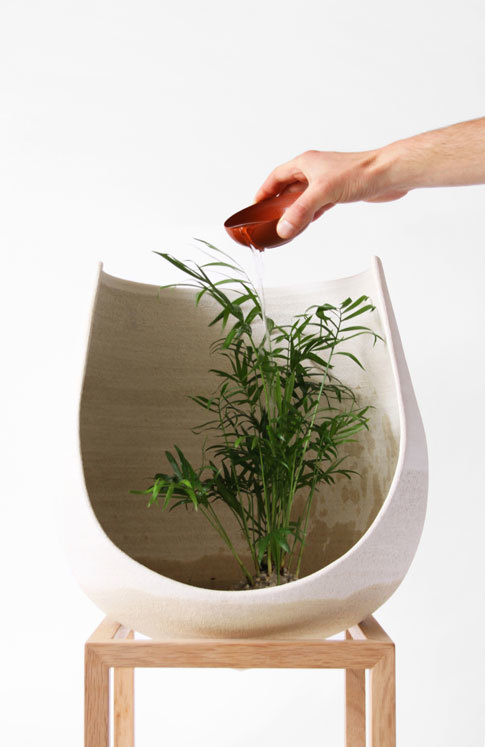 Floral apparatus，Botany，Home Furnishing，Utensils，chair，