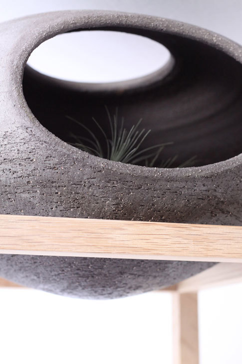 Floral apparatus，Botany，Home Furnishing，Utensils，chair，